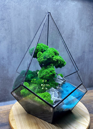 Crystal preserved moss glass terrarium In the drop
