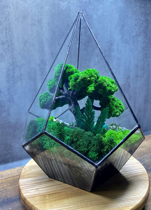 Crystal preserved moss glass terrarium In the drop