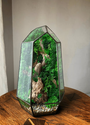 Crystal terrarium with preserved moss