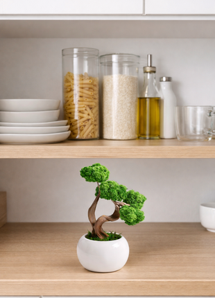 Mini Preserved Moss Bonsai Tree in White Ceramic Pot – Handmade Zen Desk Decor