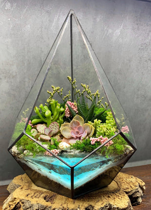 DIY Geometric Terrarium Kit, Glass Planter Set, Plant accessories