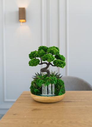 Indoor bonsai with Preserved moss - Handmade bonsai tree on Waterfall desk