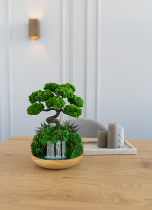 Indoor bonsai with Preserved moss - Handmade bonsai tree on Waterfall desk