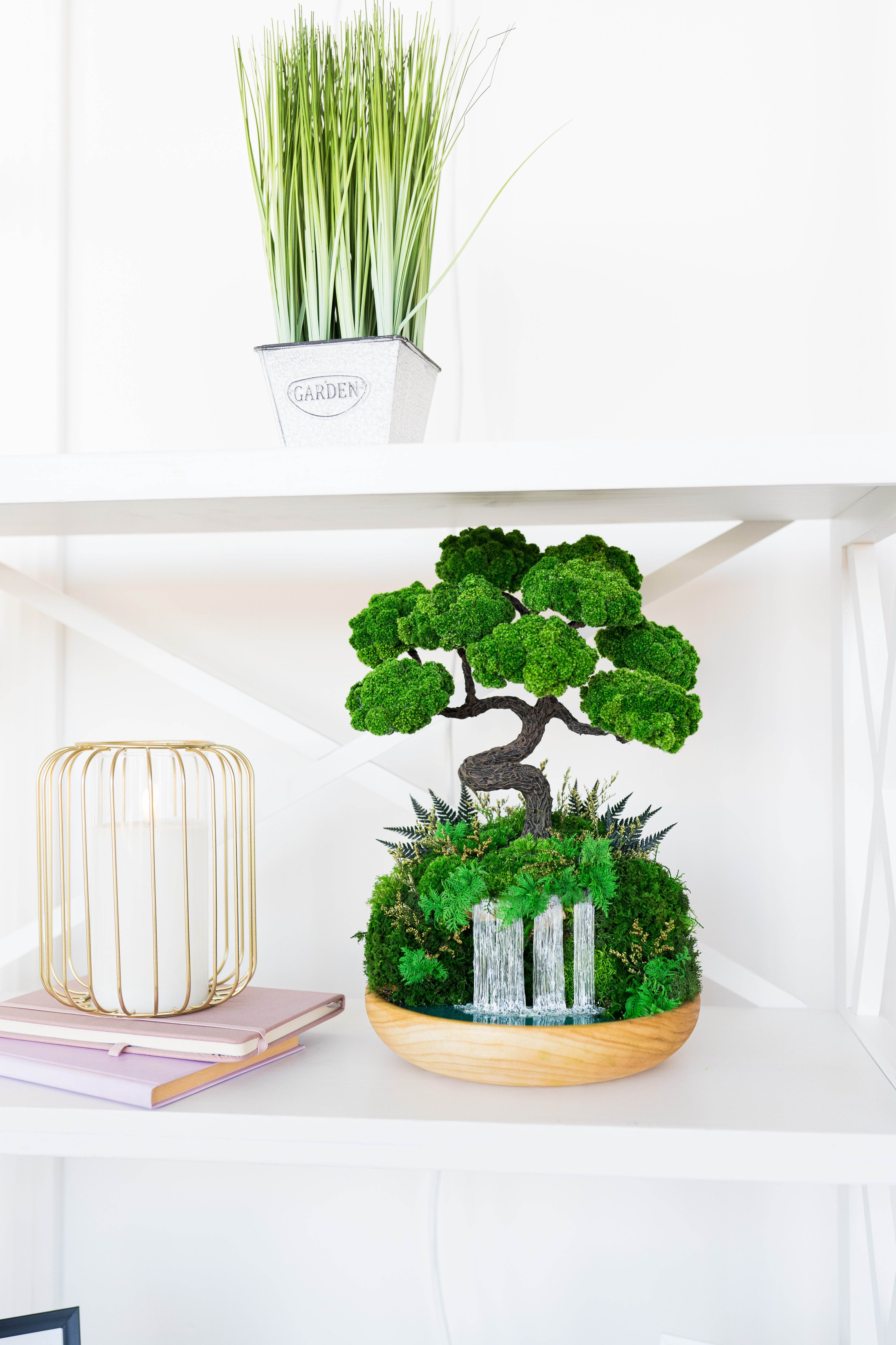 amuseable bonsai tree Indoor ☀️ bonsai with Preserved moss - Handmade bonsai tree on Waterfall