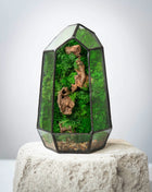 Illuminated Geometric Terrarium with Preserved Moss, Wooden Decor & LED Lamp Included