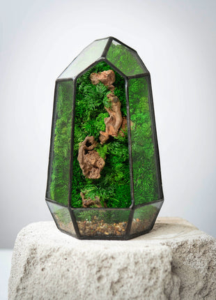Illuminated Geometric Terrarium with Preserved Moss, Wooden Decor & LED Lamp Included