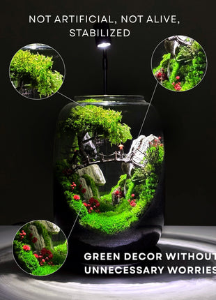 Decorative terrarium with greenery and text indicating it is not artificial, alive, or stabilized.