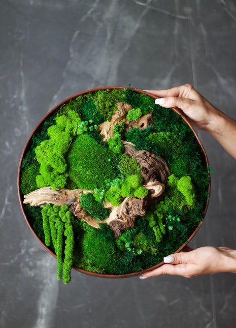 Handcrafted Preserved Moss Wall Art - Natural Greenery Decor - MagicGardens