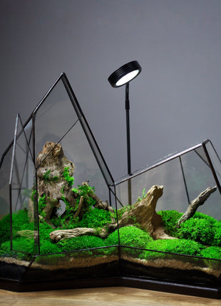 Illuminated glass terrarium with lamp and preserved moss