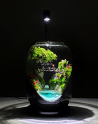 LED lamp lighting bonsai moss and miniature scene