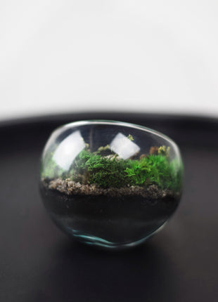 Crystal glass preserved moss terrarium that glows in the dark with horses