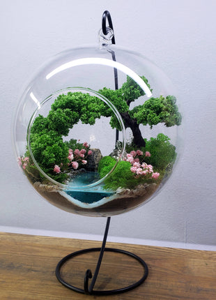 Hanging ball Small Terrarium with Preserved Moss , Shelf Moody Decor