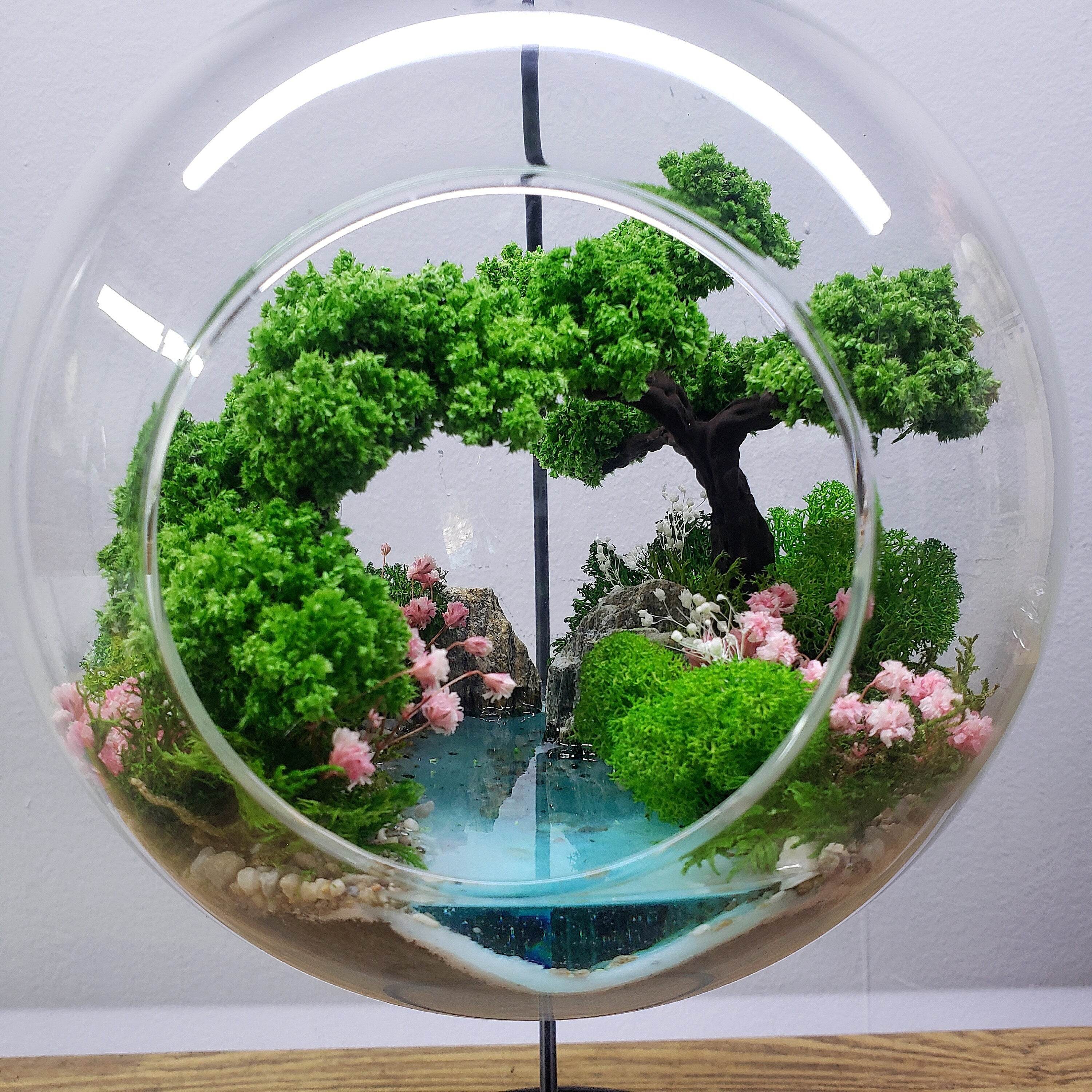 Terrarium in hängender Glaskugel mit Bonsai & Teich