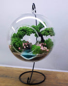 Terrarium in a hanging glass ball with bonsai tree and glowing pond — Mystery - MagicGardens