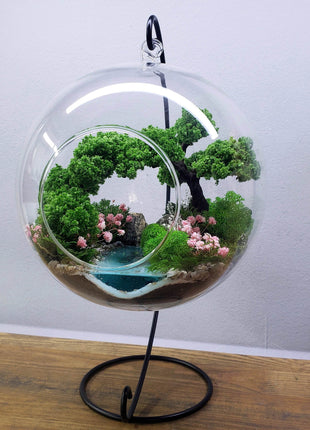 Terrarium in a hanging glass ball with bonsai tree and glowing pond — Mystery - MagicGardens