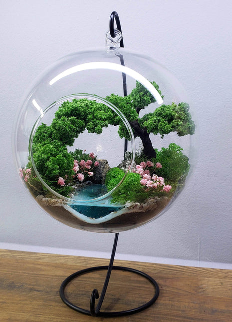 plants in hanging glass ball Terrarium in a hanging glass ball with bonsai tree and glowing pond — Mystery