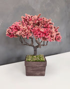 Peach Blossom Bonsai Tree | Handmade Preserved Moss Decor