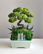 Japanese Style Bonsai Tree with Waterfall in Turquoise Ceramic Pot