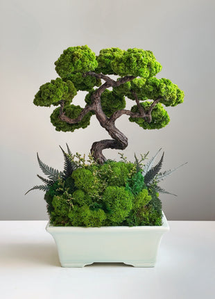 Japanese Style Bonsai Tree with Waterfall in Turquoise Ceramic Pot