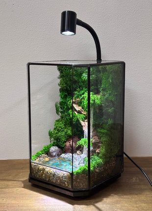 Jungle Moss Terrarium in Glass Cube with Optional LED Lamp, Glowing Waterfall & Resin Pond