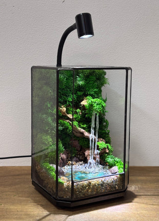 Jungle Moss Terrarium in Glass Cube with Optional LED Lamp, Glowing Waterfall & Resin Pond