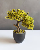 Golden Sun Bonsai Tree | Handmade Yellow Bonsai Decor
