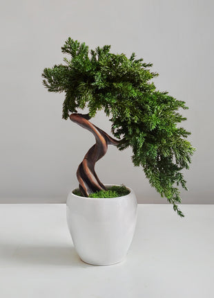 Preserved Juniper Bonsai Tree in White Ceramic Pot – Handmade No Watering Faux Bonsai, Japandi Zen Home Decor, Unique Gift Idea