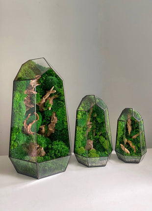 Geometric Crystal terrarium decor - Desktop mossarium