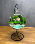 Hanging Moss Globe Terrarium with Glowing Water