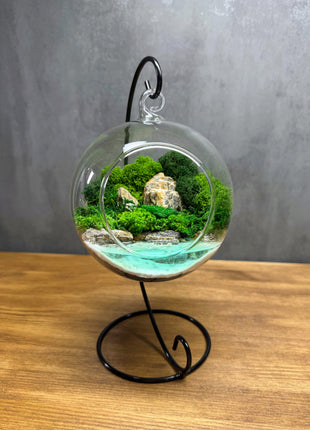 Hanging Moss Globe Terrarium with Glowing Water