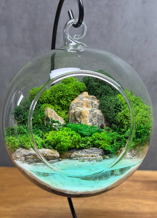Hanging Moss Globe Terrarium with Glowing Water