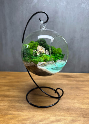 Hanging Moss Globe Terrarium with Glowing Water