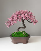 Handmade Pink Sakura Bonsai Tree with Preserved Moss