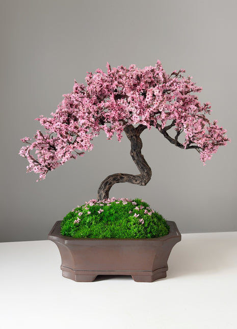 Handmade Pink Sakura Bonsai Tree with Preserved Moss