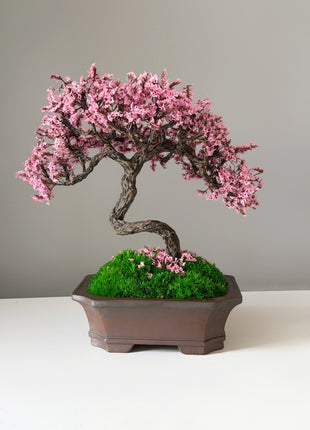Handmade Pink Sakura Bonsai Tree with Preserved Moss