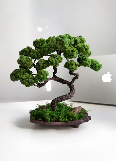 Mini Japanese Moss Bonsai Tree - Handmade Preserved Green Bonsai in Ceramic Pot