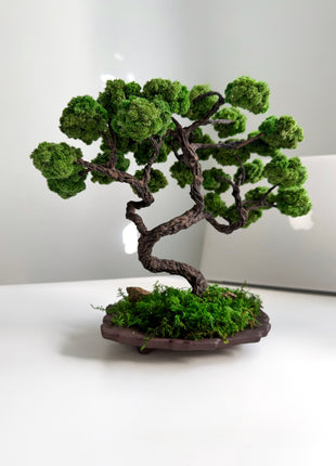 Mini Japanese Moss Bonsai Tree - Handmade Preserved Green Bonsai in Ceramic Pot