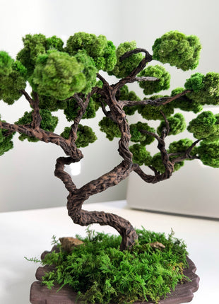 Mini Japanese Moss Bonsai Tree - Handmade Preserved Green Bonsai in Ceramic Pot