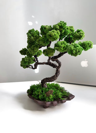 Mini Japanese Moss Bonsai Tree - Handmade Preserved Green Bonsai in Ceramic Pot