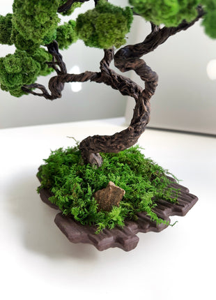 Mini Japanese Moss Bonsai Tree - Handmade Preserved Green Bonsai in Ceramic Pot