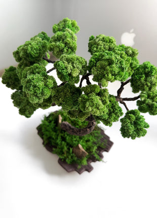 Mini Japanese Moss Bonsai Tree - Handmade Preserved Green Bonsai in Ceramic Pot