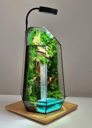 Illuminated Geometric Terrarium with Preserved Moss, Wooden Decor & LED Lamp Included