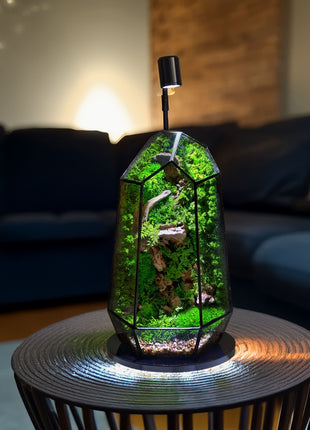 Illuminated Geometric Terrarium with Preserved Moss, Wooden Decor & LED Lamp Included