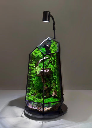 Illuminated Geometric Terrarium with Preserved Moss, Wooden Decor & LED Lamp Included