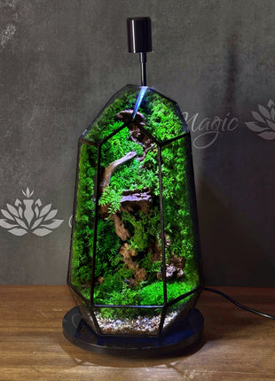Illuminated Geometric Terrarium with Preserved Moss, Wooden Decor & LED Lamp Included