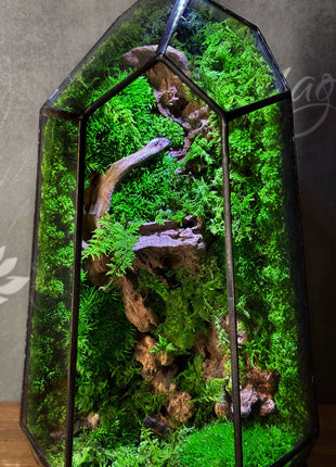 Illuminated Geometric Terrarium with Preserved Moss, Wooden Decor & LED Lamp Included