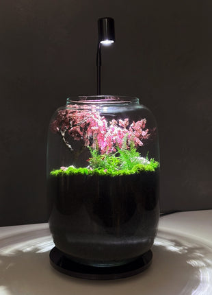 Samurai Sakura Terrarium with Glowing Resin Pond & LED Lamp