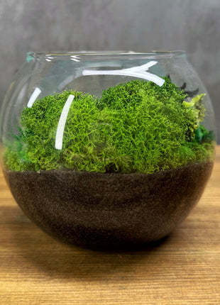 Mini Zen Garden Desk Terrarium with Preserved Moss, Handmade Geometric Moss Terrarium, Japandi Table Decor, No Maintenance Diorama