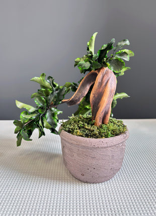 Handmade Preserved Moss Bonsai Tree - Japanese Zen Decor in Ceramic Pot, No Watering Indoor Plant Gift