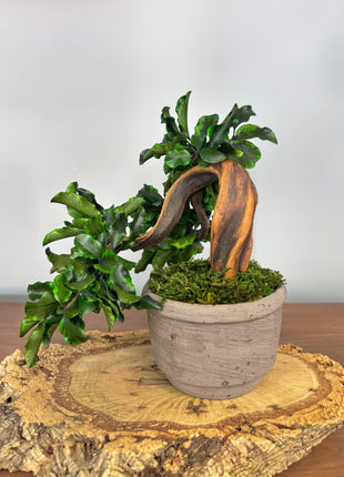 Handmade Preserved Moss Bonsai Tree - Japanese Zen Decor in Ceramic Pot, No Watering Indoor Plant Gift